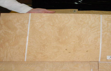 Slice Veneer kayu putih abu alami memotong ketebalan 0.5mm untuk menyelesaikan Interior
