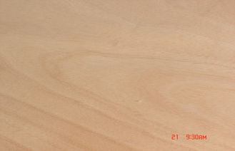 Veneer Okoume kuning alami, Rotary 0.20 mm - 0,60 mm dipotong Veneer