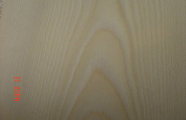Golden Birch Crown sulit memotong Veneer Edge Banding dan kayu lapis