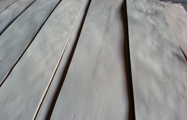 Dekoratif Alam Birch Plywood Veneer Dengan Crown Cut Grain